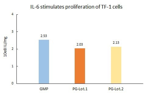 Recombinant human IL-6 protein (GMP-certified)