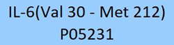 Recombinant human IL-6 protein (GMP-certified)