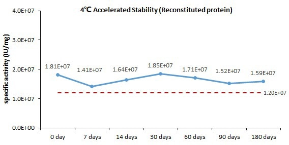 Human IL-4 protein (GMP-grade)