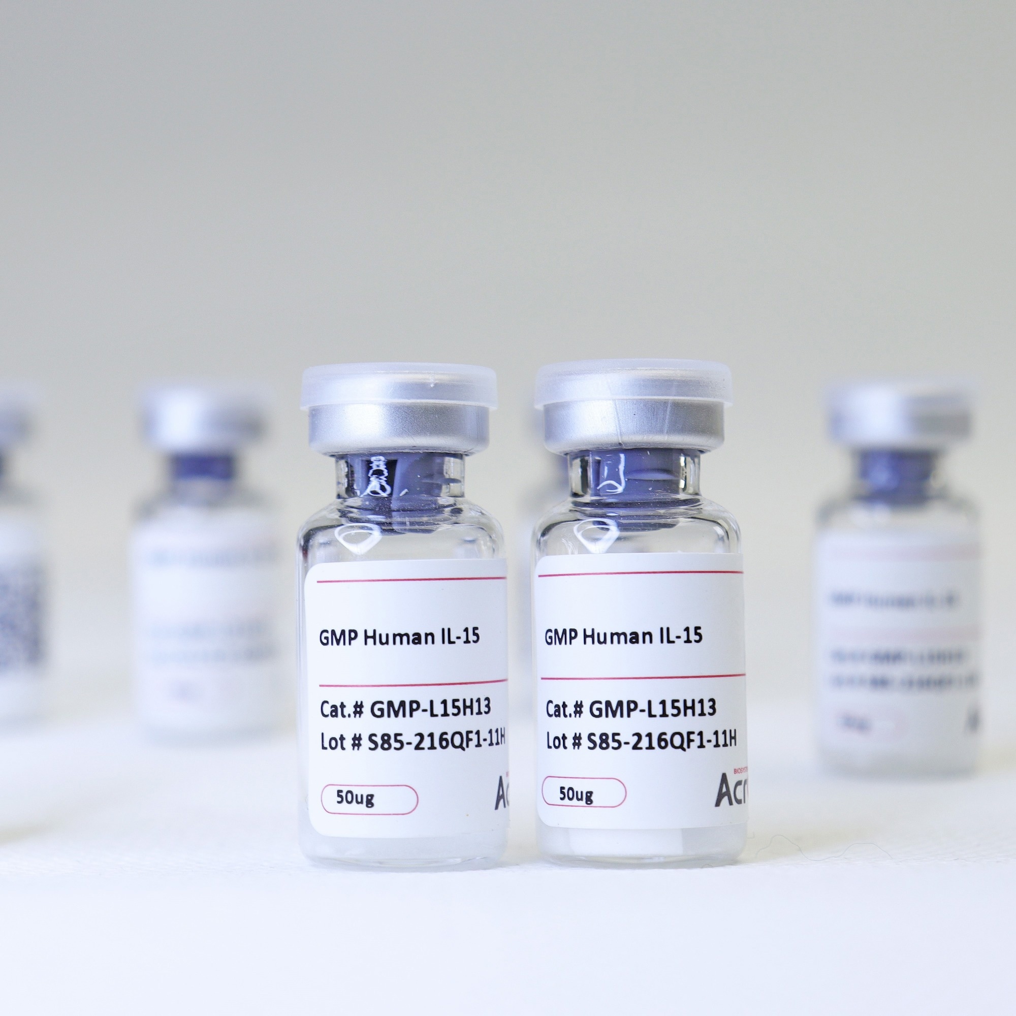 Human IL-15 protein with GMP certification
