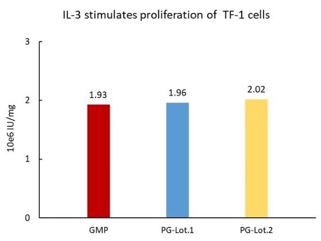 High-purity GMP-grade human IL-3 protein
