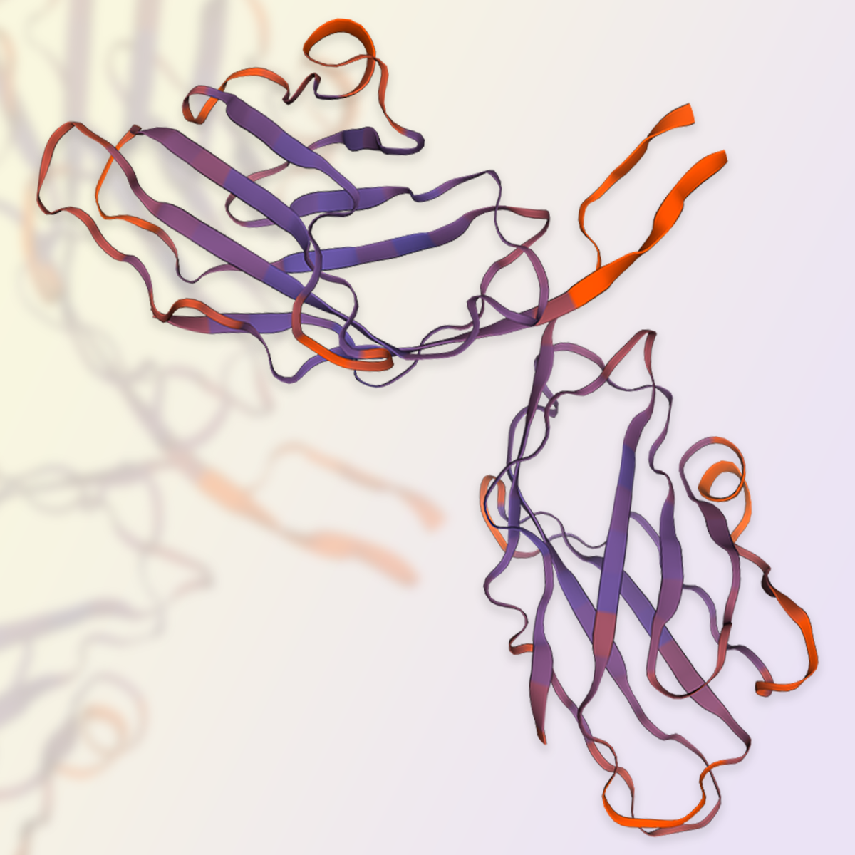 GMP-grade monoclonal anti-human CD28 antibody