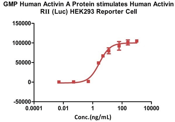 GMP-grade human activin A / INHBA protein for therapeutic use