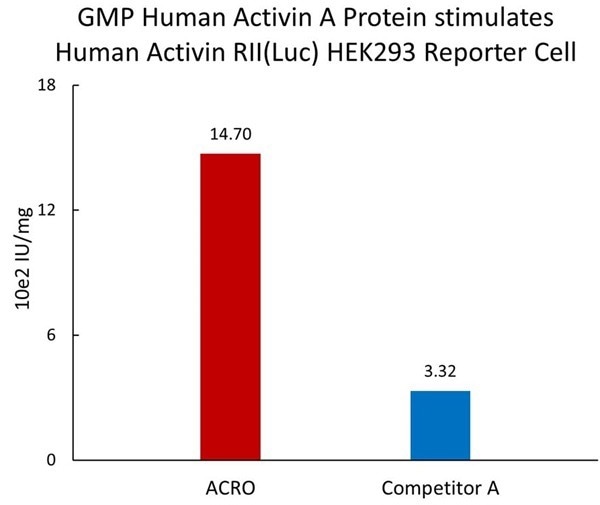 GMP-grade human activin A / INHBA protein for therapeutic use