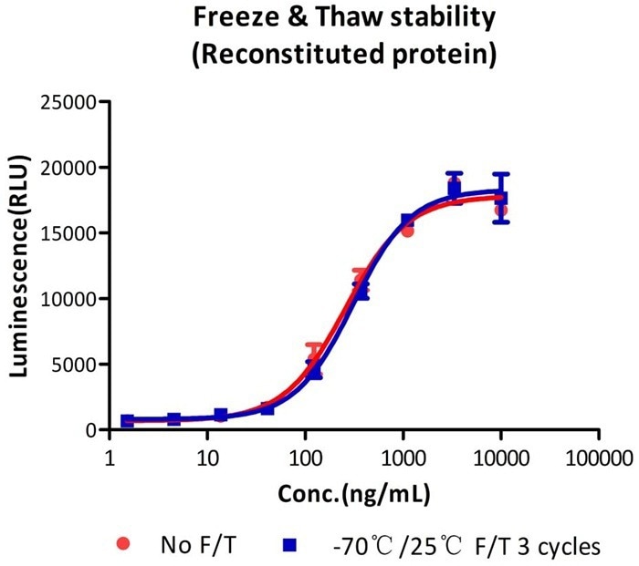 GMP-grade human BMP-4 / BMP2B protein