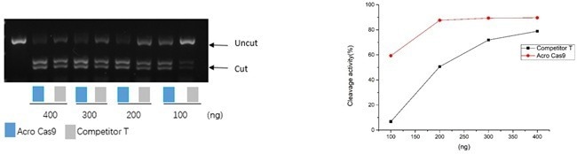 GMP-grade GENPower™ NLS-Cas9 nuclease