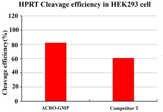 GMP-grade GENPower™ NLS-Cas9 nuclease