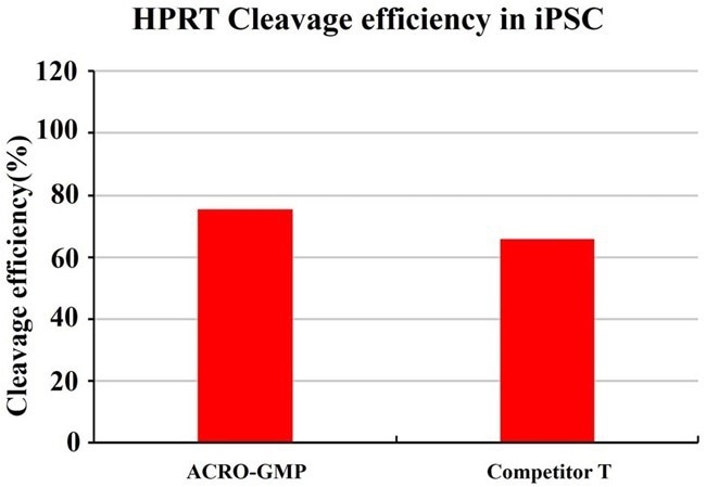 GMP-grade GENPower™ NLS-Cas9 nuclease
