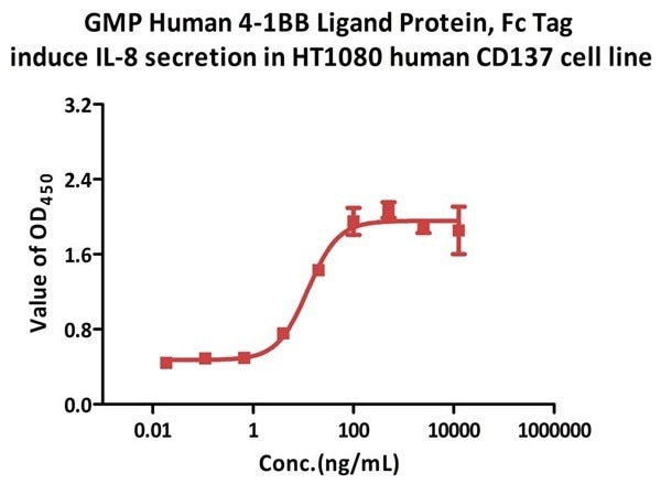 Recombinant Human 4-1BB Ligand Protein with Fc Tag (GMP Grade)