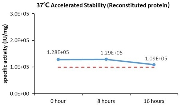 Recombinant Human 4-1BB Ligand Protein with Fc Tag (GMP Grade)