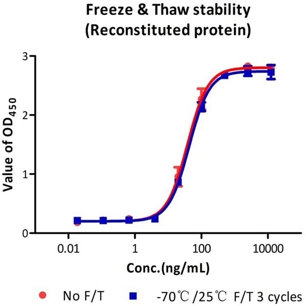 Recombinant Human 4-1BB Ligand Protein with Fc Tag (GMP Grade)