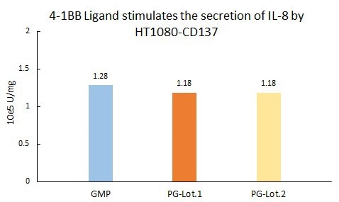 Recombinant Human 4-1BB Ligand Protein with Fc Tag (GMP Grade)
