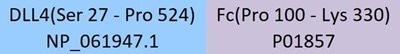 GMP-grade human DLL4 protein
