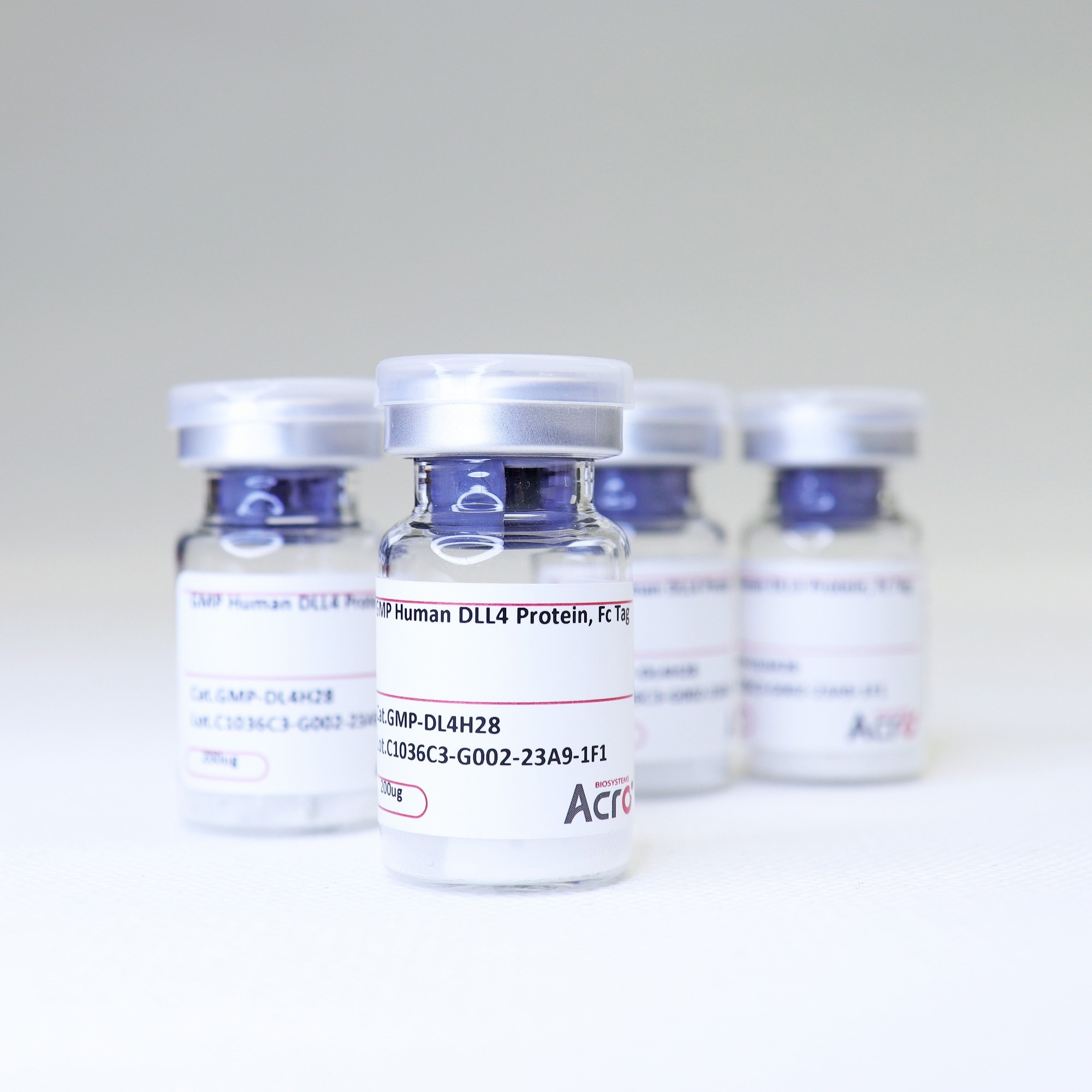 GMP-grade human DLL4 protein