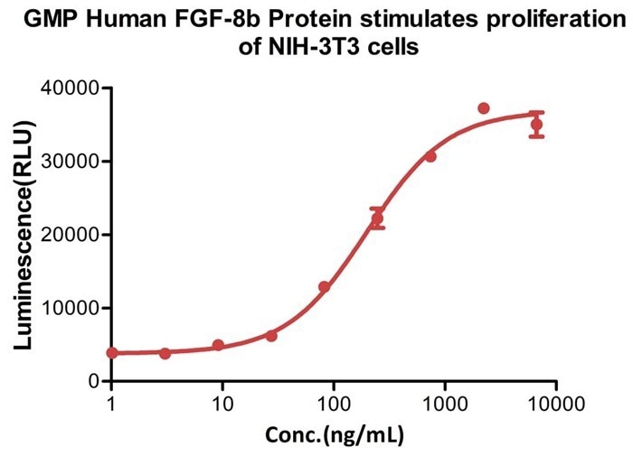 GMP-grade human FGF-8b protein