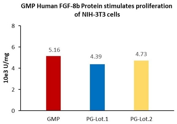 GMP-grade human FGF-8b protein