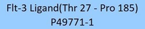GMP-grade human Flt-3 ligand protein