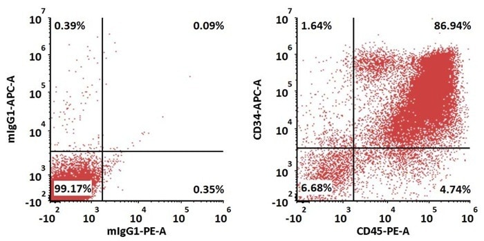 GMP-grade human Flt-3 ligand protein