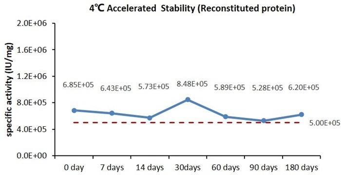GMP-grade human Flt-3 ligand protein
