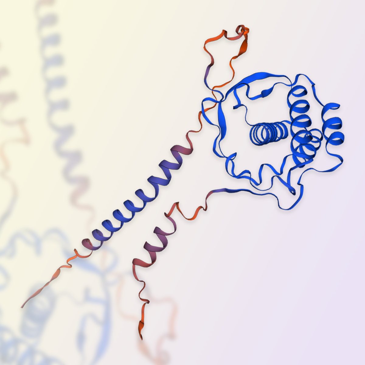 GMP-grade human Flt-3 ligand protein