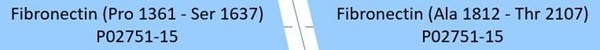 GMP-grade recombinant human fibronectin fragment