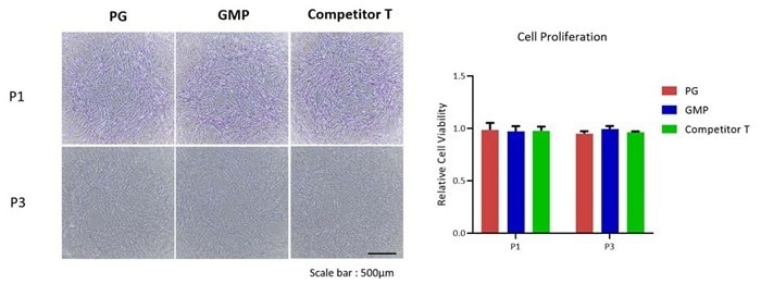 GMP-grade recombinant human fibronectin fragment