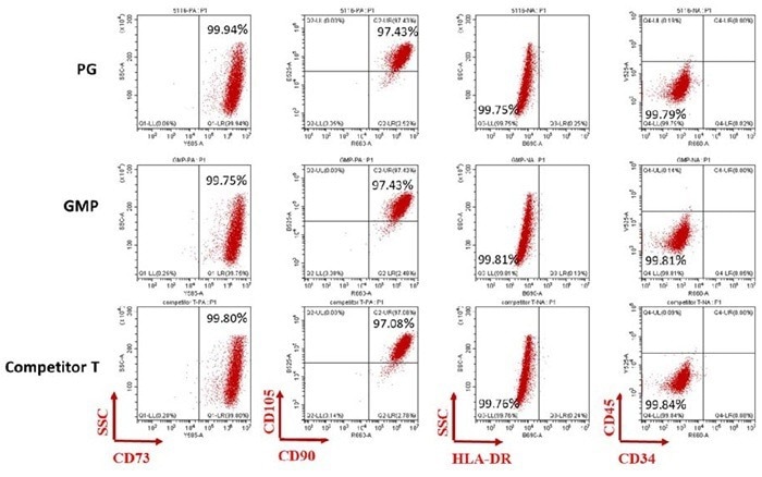 GMP-grade recombinant human fibronectin fragment