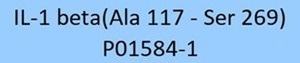 GMP-grade human IL-1 beta protein
