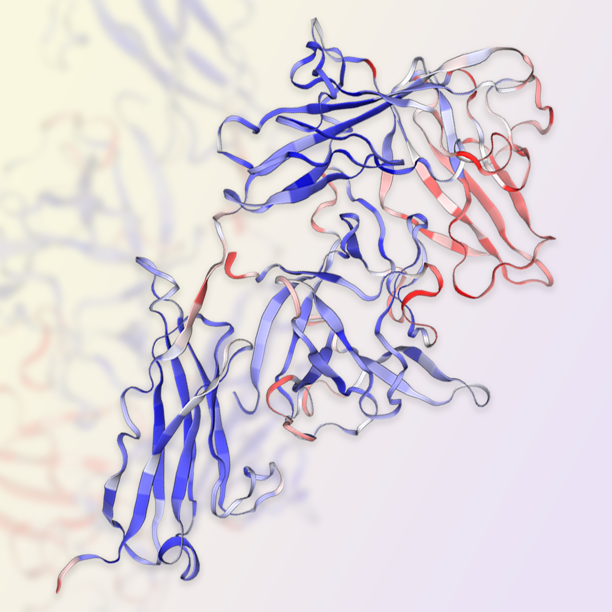 GMP-grade human IL-1 beta protein