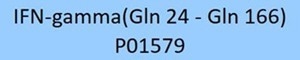 GMP-grade human IFN-gamma protein