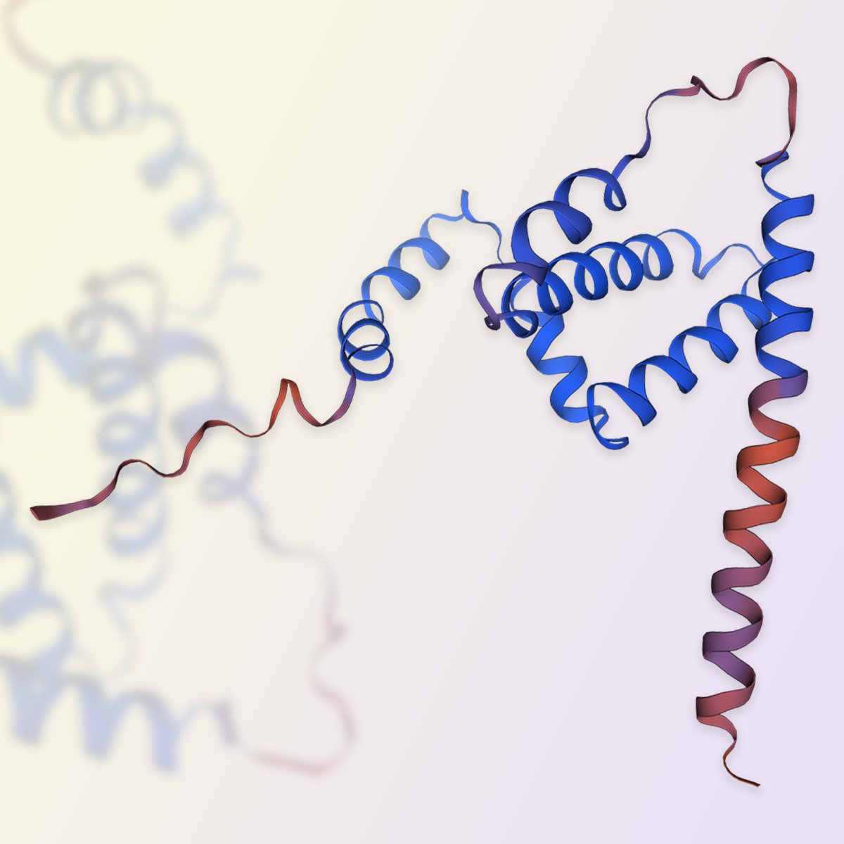 GMP-grade human IFN-gamma protein