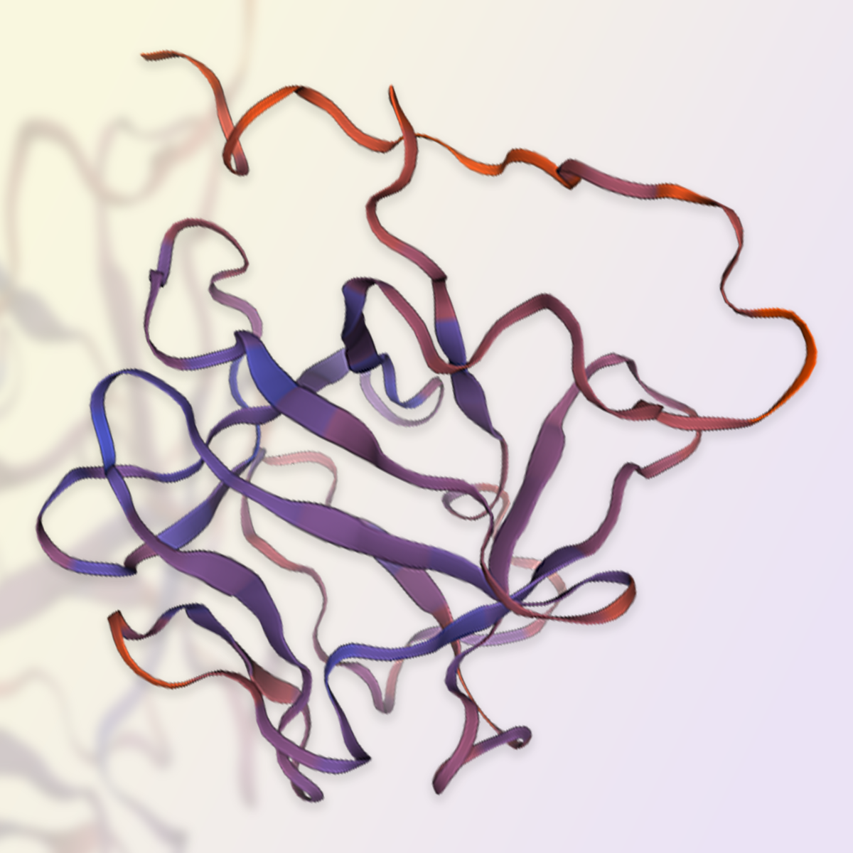 GMP-grade human FGF basic protein
