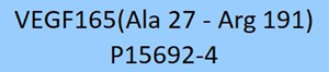 Seamless GMP VEGF165 protein