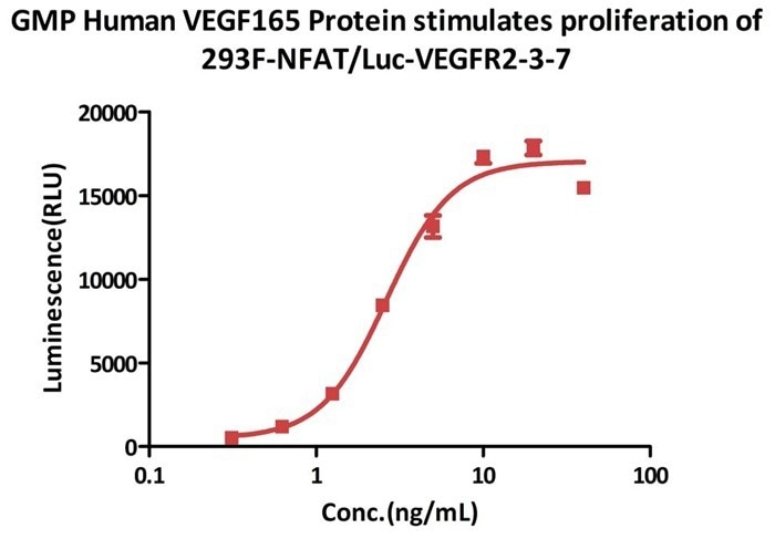 Seamless GMP VEGF165 protein