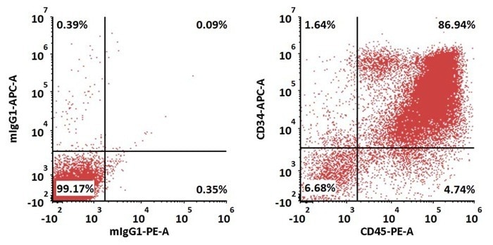 Seamless GMP VEGF165 protein