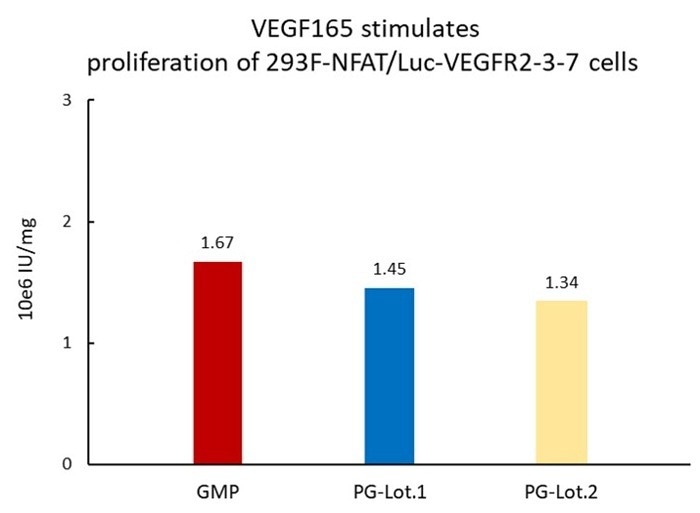 Seamless GMP VEGF165 protein