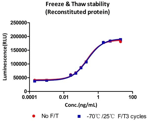 GMP GM-CSF Proteins