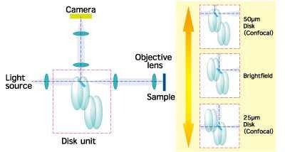 CSU-W1: Confocal Scanner
