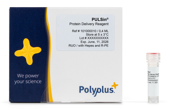 Optimized intracellular protein delivery with PULSin® technology