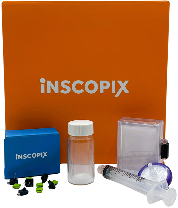 Neural circuit imaging with the nVista 2P miniscope