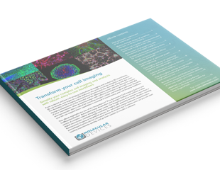 The art of CRISPR: The power and promise of gene editing