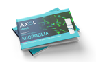 eBook: Advancing neurodegenerative research with iPSC-derived microglia models
