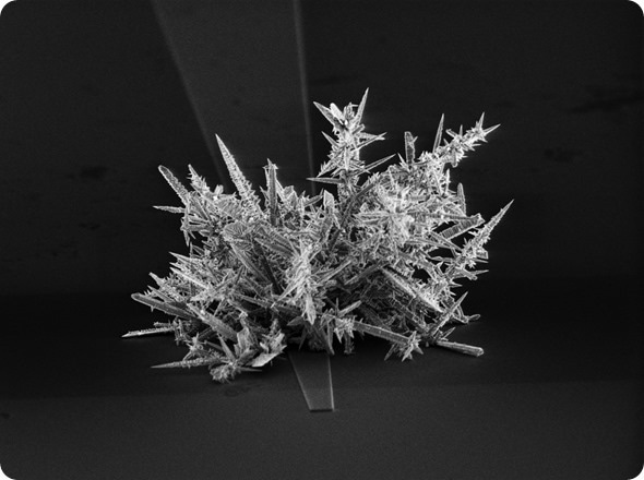 Nanostructured microelectrodes to analyze biomarkers