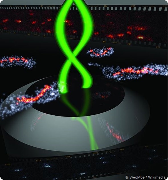 Bacteria 3D Double Helix
