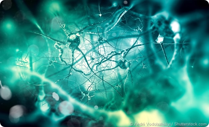 brain signaling