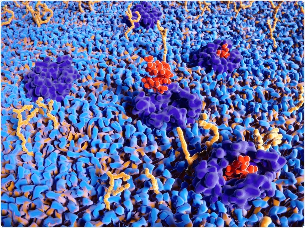 Endorphin (met-enkephalin) molecules binding to the delta opioid receptor