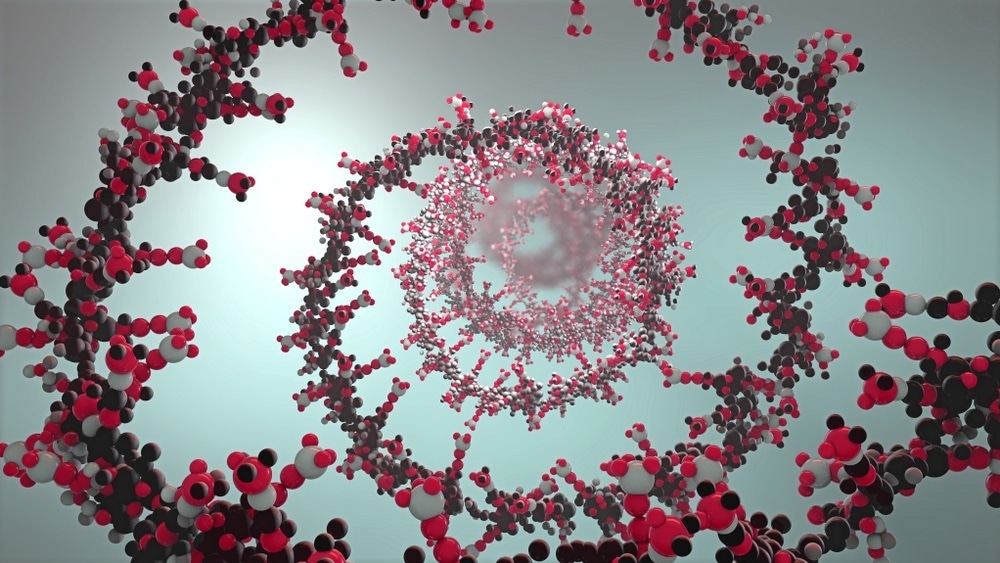 nucleic acid nucleic acid