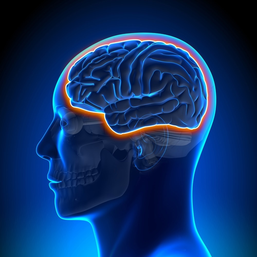 blood brain barrier blood brain barrier