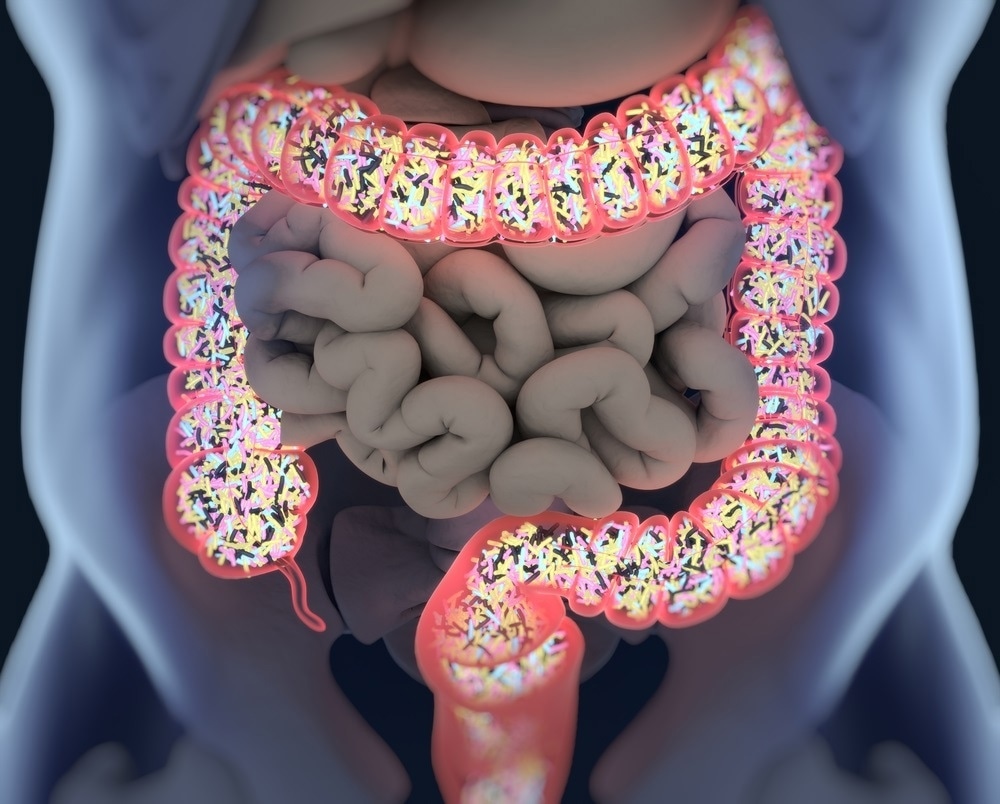 gut bacteria gut bacteria