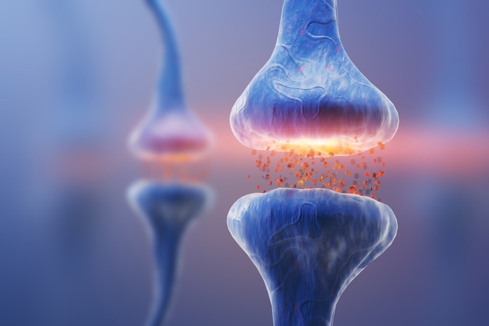 neurotransmitters neurotransmitters
